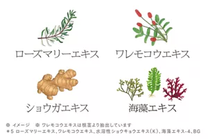 ローズマリーエキス ワレモコウエキス ショウガエキス 海藻エキス ※イメージ ※ ワレモコウエキスは根茎より抽出しています *5 ローズマリーエキス、ワレモコウエキス、水溶性ショウキョウエキス(K)、海藻エキス-4、BG