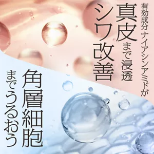 有効成分ナイアシンアミドが真皮まで浸透 シワ改善 角層細胞までうるおう