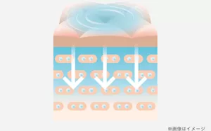 ※画像はイメージ