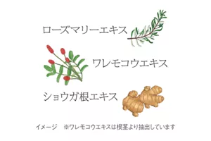 ローズマリーエキス ワレモコウエキス ショウガ根エキス イメージ ※ワレモコウエキスは根茎より抽出しています
