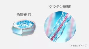 ケラトTR複合成分(保湿)配合