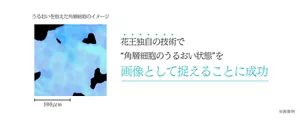 うるおいを抱えた角層細胞のイメージ 花王独自の技術で “角層細胞のうるおい状態”を画像として捉えることに成功