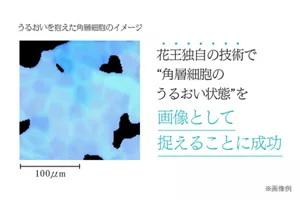 うるおいを抱えた角層細胞のイメージ 花王独自の技術で “角層細胞のうるおい状態”を画像として捉えることに成功