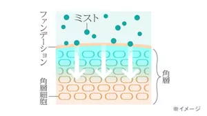 ※画像はイメージ