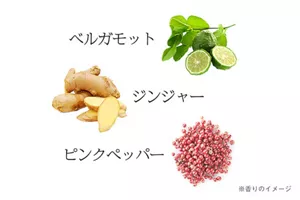 ベルガモット ジンジャー ピンクペッパー  ※香りのイメージ