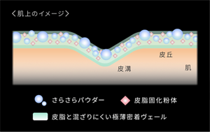 キープドライ処方 肌上の塗膜イメージ