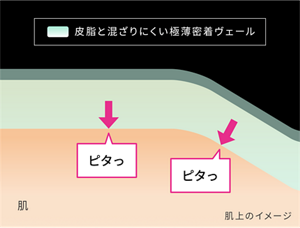 皮脂と混ざりにくい極薄密着ヴェール 肌上のイメージ