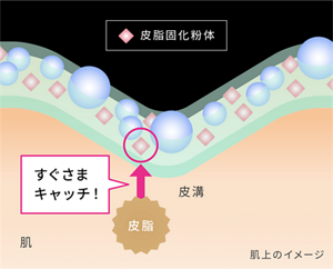 皮脂固化粉体 すぐさまキャッチ! 肌上のイメージ
