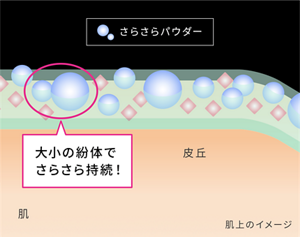 さらさらパウダー 大小の紛体でさらさら持続! 肌上のイメージ