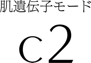 肌遺伝子モード C2