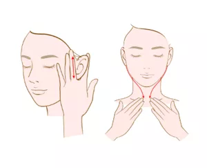 ⑤人差し指と中指で耳を挟み、上下に数回スライドします。そのまま、首まで流し(すべらせ)、最後に鎖骨をゆっくりとプッシュします。