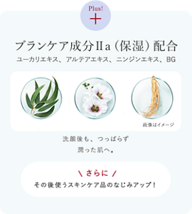 潤って明るい透明感を引き出すブランケア成分II(保湿)配合