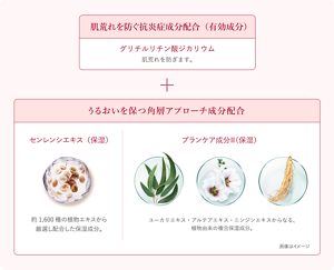 img_seibun_pc_260528