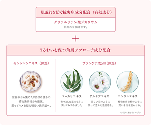 img_seibun_pc_240130