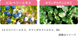 img_circulation_251004