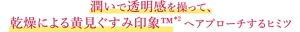潤いで透明感を操って、乾燥による黄見ぐすみ印象へアプローチするヒミツ