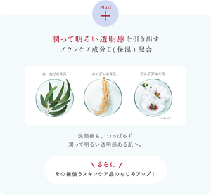 潤って明るい透明感を引き出すブランケア成分II(保湿)配合