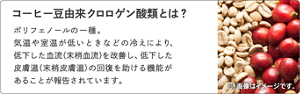 コーヒー豆由来クロロゲン酸類とは?