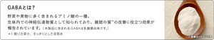GABAとは?
