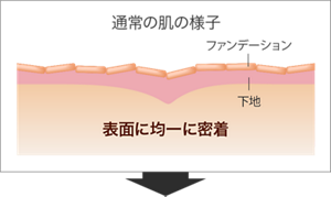 通常の肌の様子。ファンデーションと下地が肌表面に均一に密着
