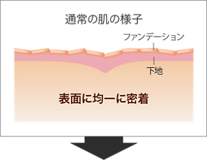 通常の肌の様子。ファンデーションと下地が肌表面に均一に密着