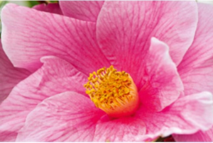 GW-Newance-Products-Technology-M-Slider-1