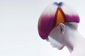 2 chi hsing chang new talent gold