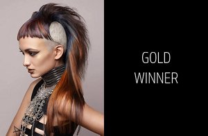 creative colorist category