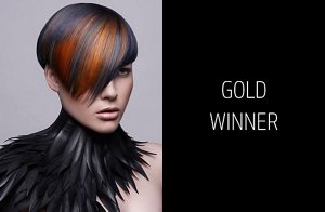 partner colorist category