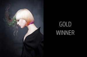 partner colorist category