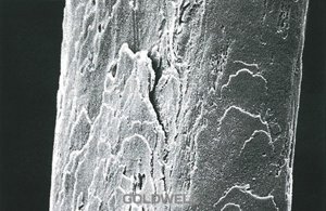 hair porosity damaged hair