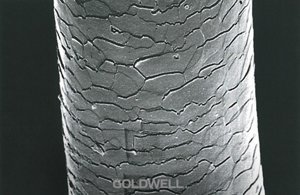 hair porosity healthy hair