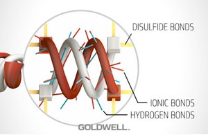 hair properties alphahelix