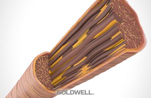 hair properties lipids