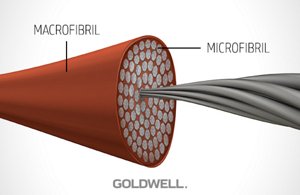 hair properties macrofibril