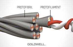 hair properties microfibril