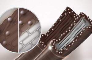 A detailed depiction of grey hairs which have been dyed brown with non-oxidative goldwell elumen dye.