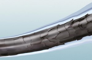 evolution technology3