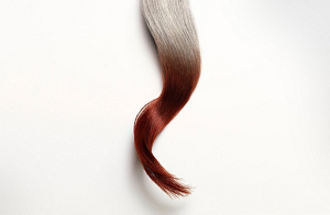 image grey assort inno 01 01