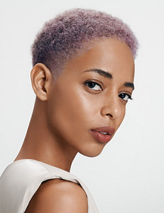 gw_hcs_essentialism_l_teaser_1