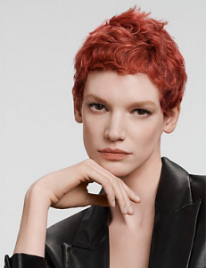 gw_hcs_essentialism_l_teaser_5