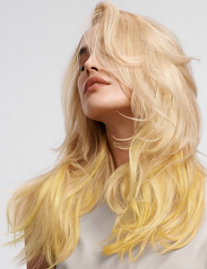 gw_hcs_essentialism_l_teaser_6