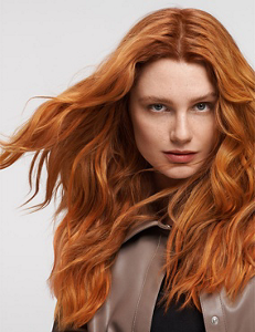 gw_hcs_essentialism_l_teaser_9