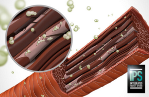 Animated picture of hair structure and logo of integrated protect system