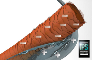 Animated picture of hair structure and logo of integrated protect system