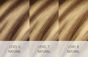 colorance service teaser lowlights 2017