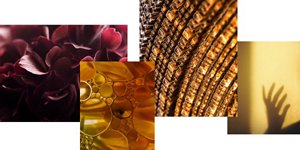 eleven goldwell products on white background