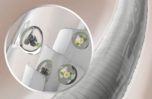 animated enlarged view of hair on the right with a further magnified shot of essences acting on the hair on the left over a neutral beige background