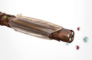 vitensity technology