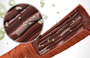 topchic asia shade extension m teaser 568x369px tech01 2019